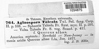 Aglaospora taleola image